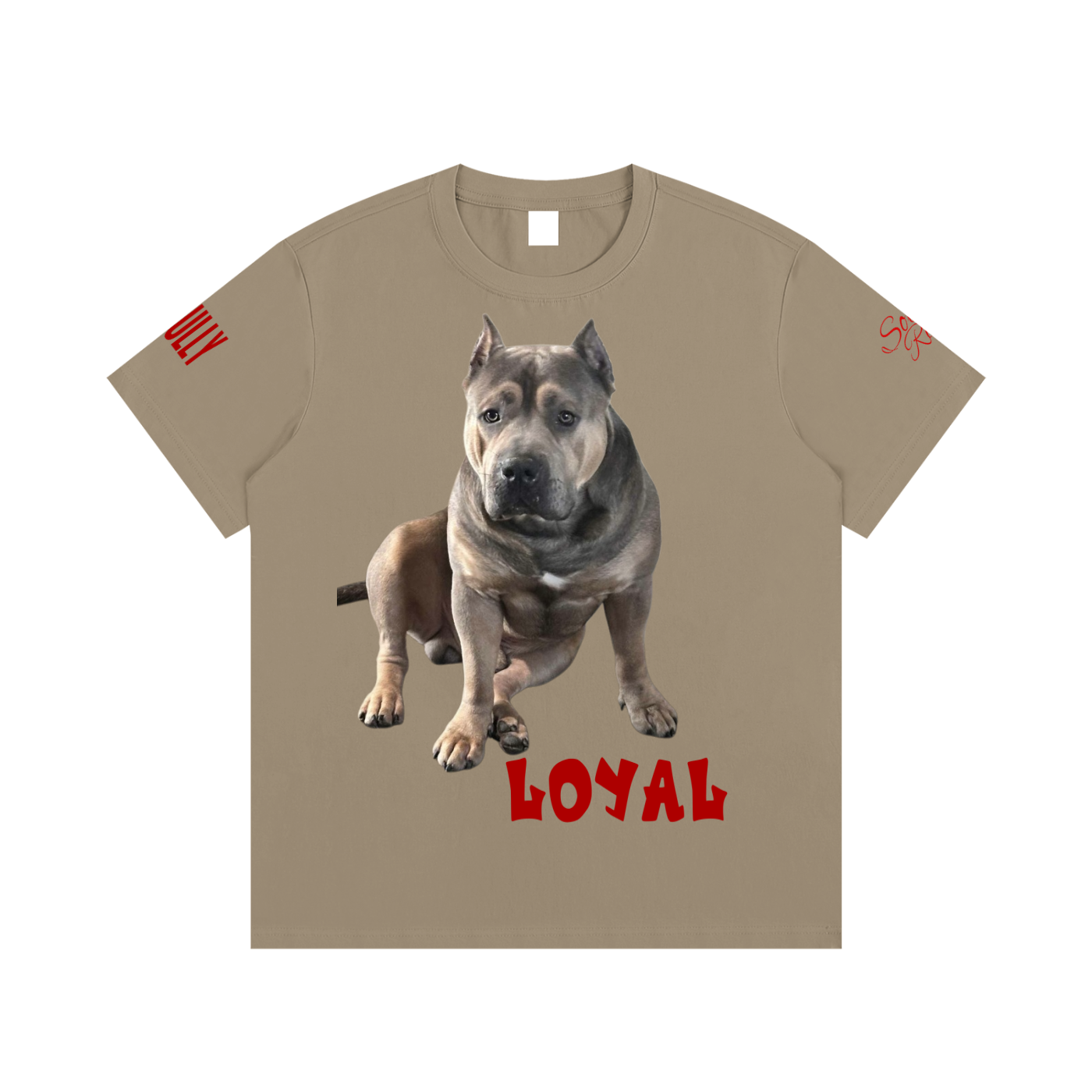 SOUL RICH Loyal Built Different Essential Cotton T-Shirt Limited Edition
