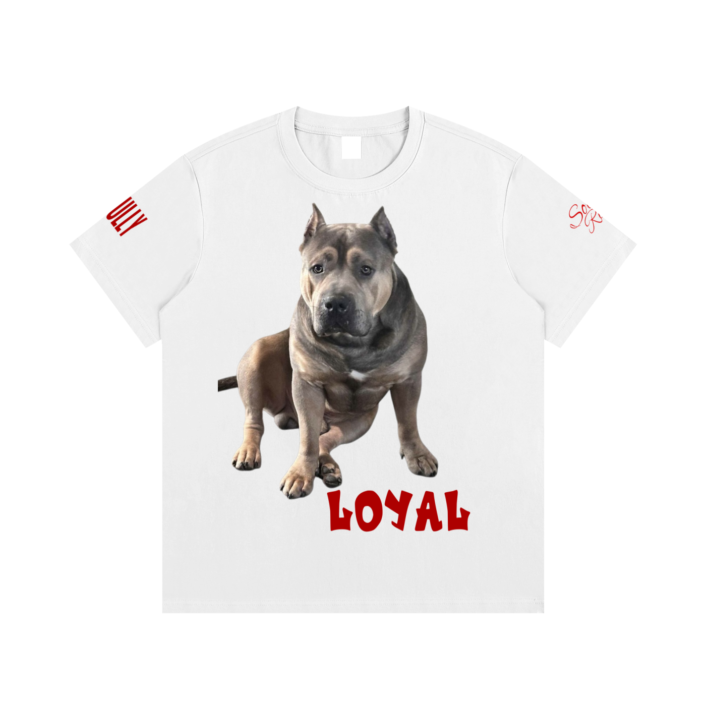 SOUL RICH Loyal Built Different Essential Cotton T-Shirt Limited Edition