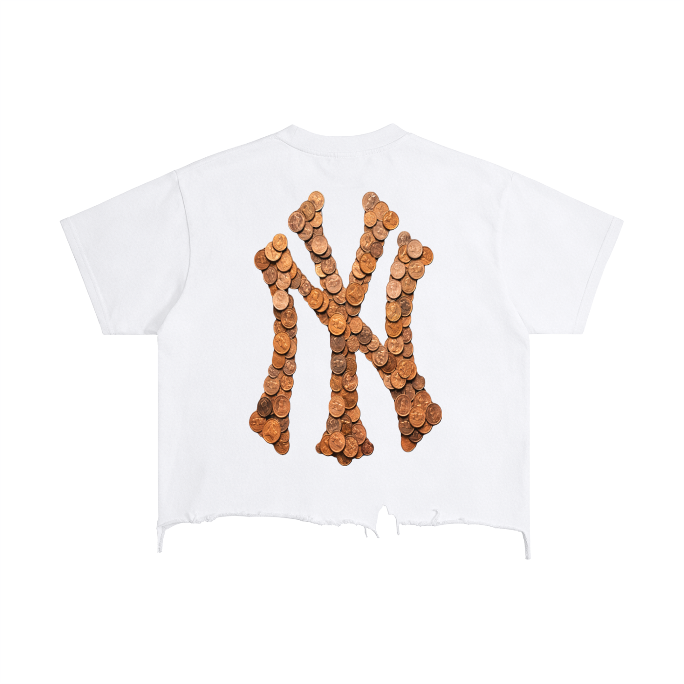 SOUL RICH Pennies To Millions Vintage Wash T-Shirt